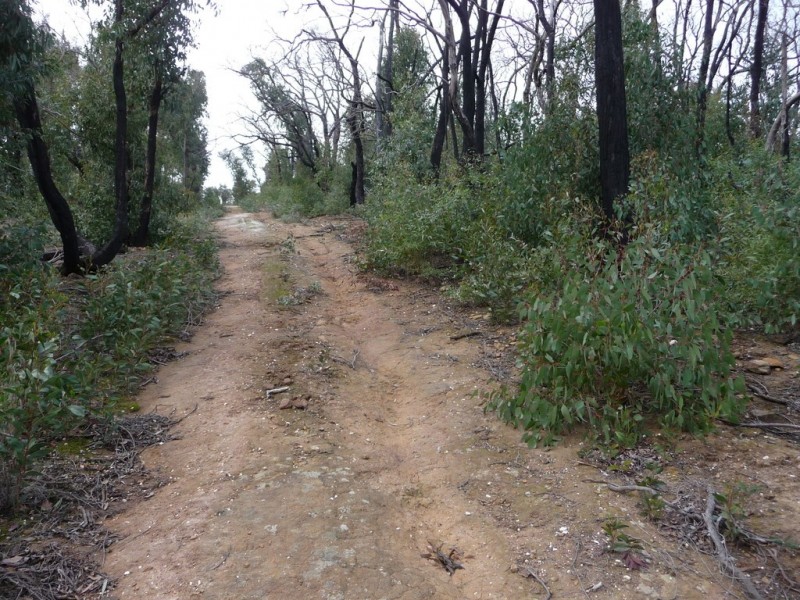 719 Paynes Bridge Road, Dereel VIC 3352