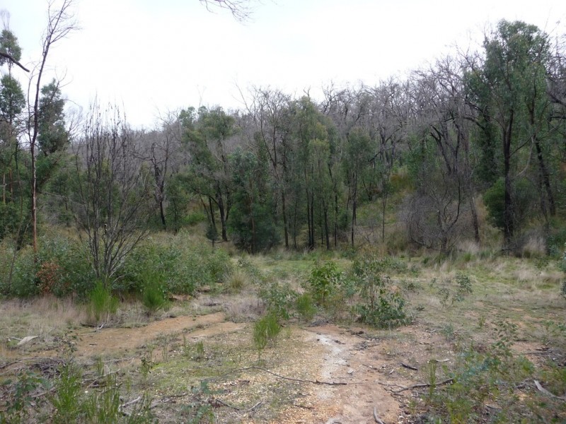 719 Paynes Bridge Road, Dereel VIC 3352