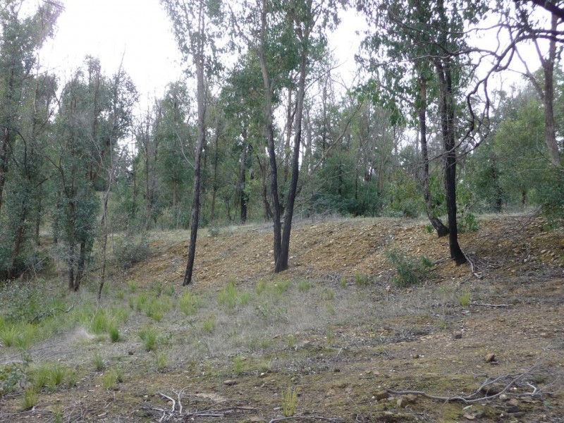 719 Paynes Bridge Road, Dereel VIC 3352