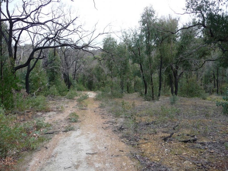 719 Paynes Bridge Road, Dereel VIC 3352