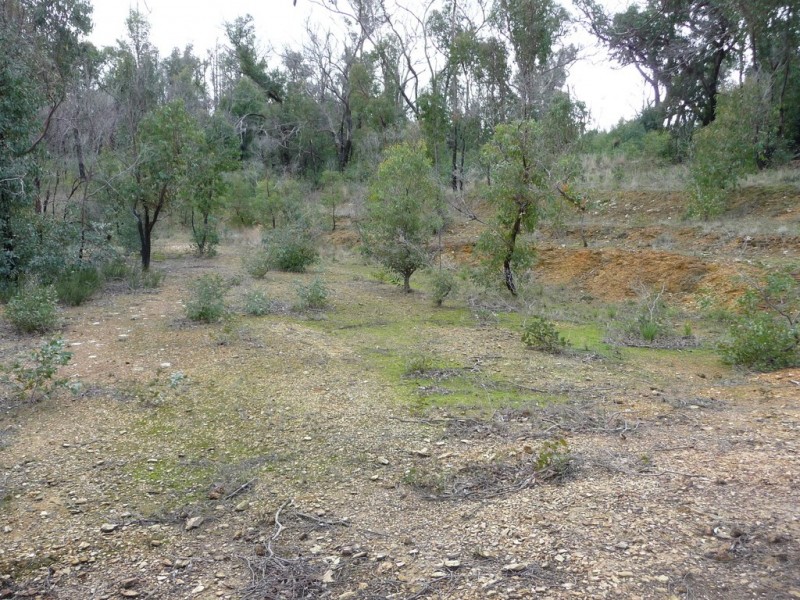 719 Paynes Bridge Road, Dereel VIC 3352