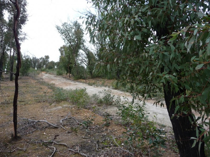 719 Paynes Bridge Road, Dereel VIC 3352