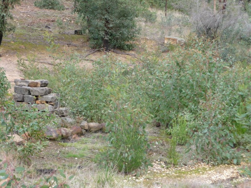 719 Paynes Bridge Road, Dereel VIC 3352