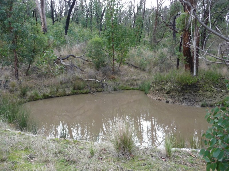 719 Paynes Bridge Road, Dereel VIC 3352