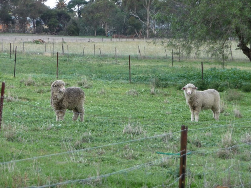 1896 Colac – Ballarat Road, Rokewood VIC 3330