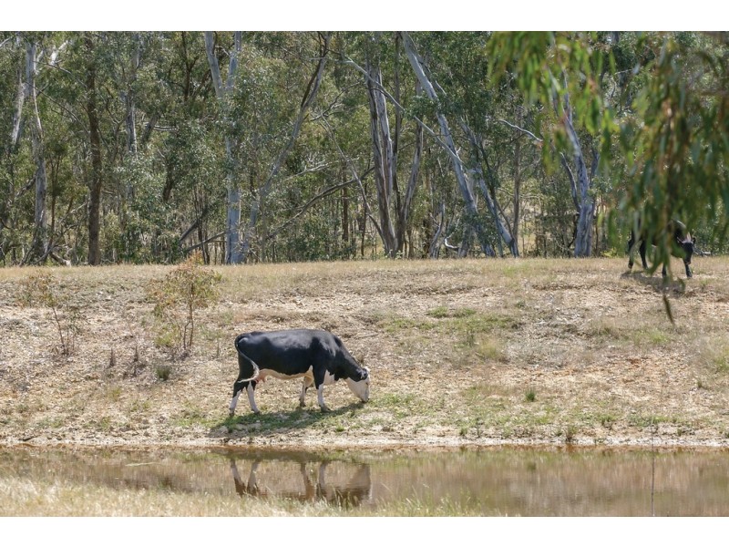 5999 Stawell-Avoca Road, Moonambel VIC 3478