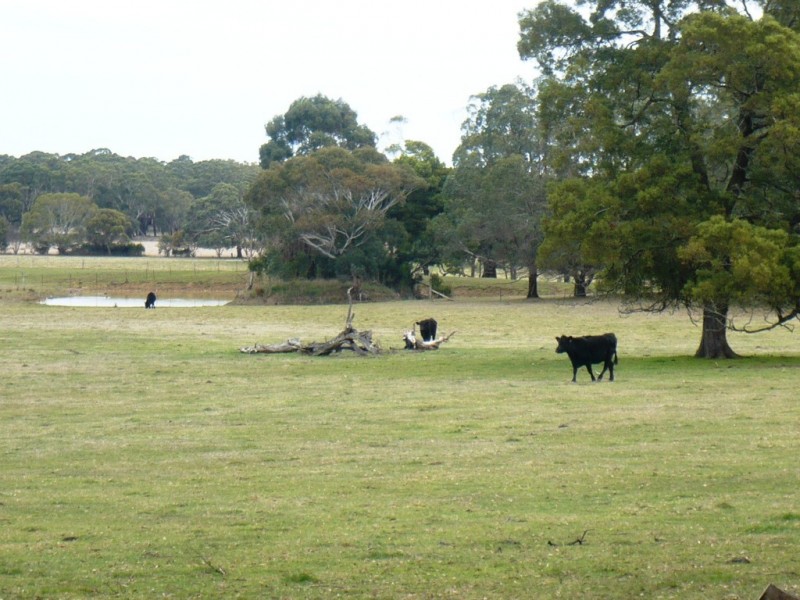 - Ironmine Road, Lal Lal VIC 3352