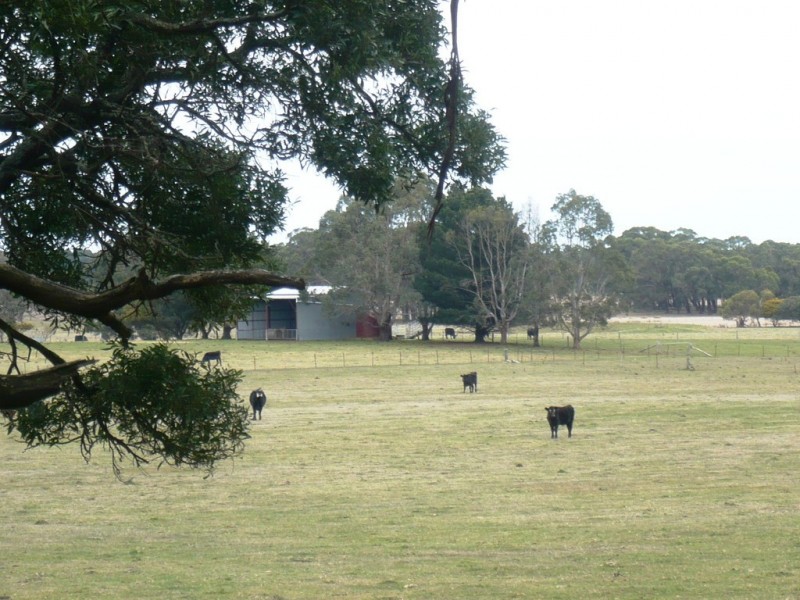 - Ironmine Road, Lal Lal VIC 3352