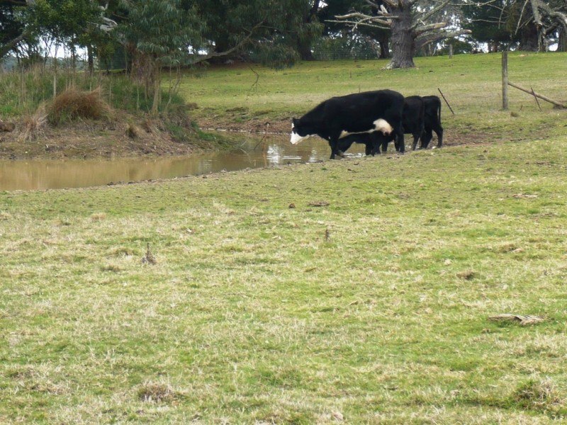 - Ironmine Road, Lal Lal VIC 3352