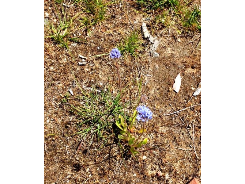 193 Redbank-Barkly, Redbank VIC 3477