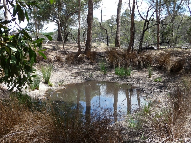 Lot 5a and 5d King Charlie Lane, Raglan VIC 3373