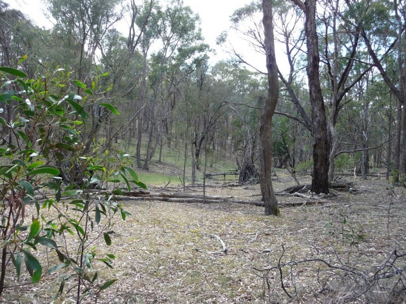 Lot 5a and 5d King Charlie Lane, Raglan VIC 3373