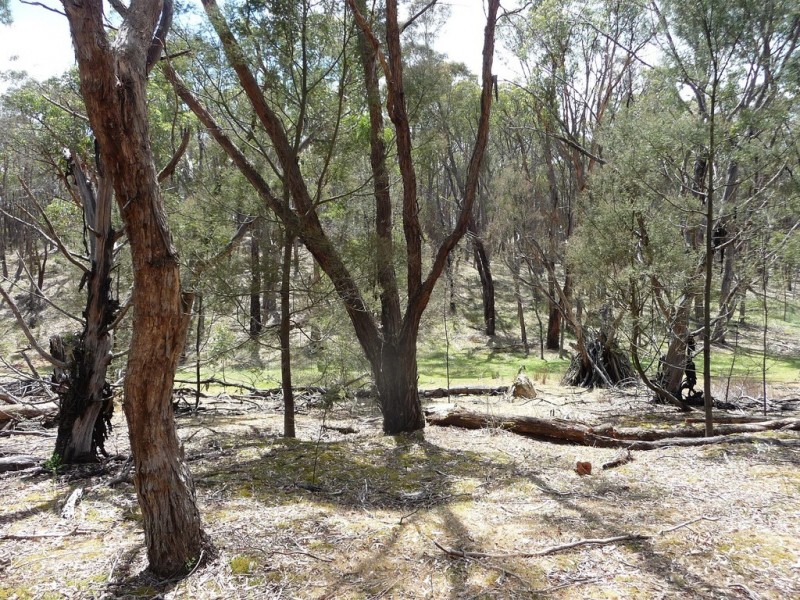 Lot 5a and 5d King Charlie Lane, Raglan VIC 3373