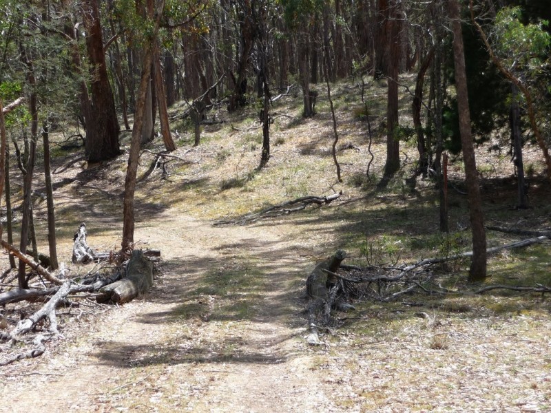 Lot 5a and 5d King Charlie Lane, Raglan VIC 3373