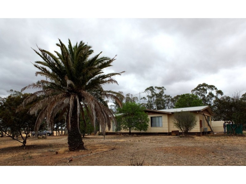 266 Logan-Bealiba Road, Cochranes Creek VIC 3475