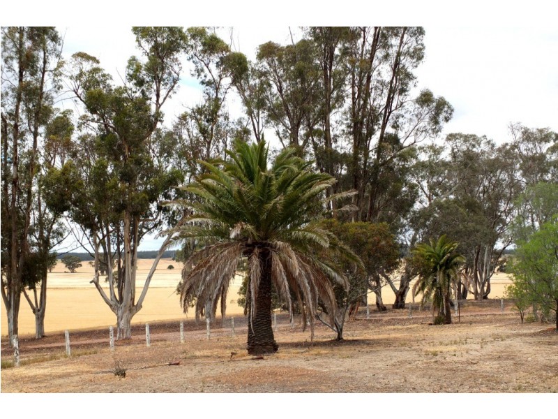 266 Logan-Bealiba Road, Cochranes Creek VIC 3475