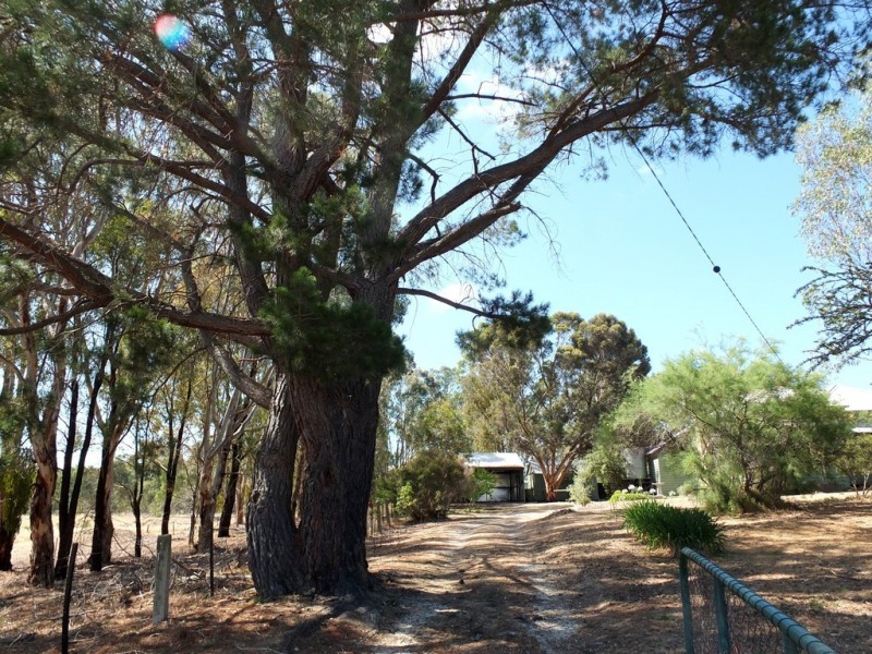 20 School Street, Amphitheatre VIC 3468