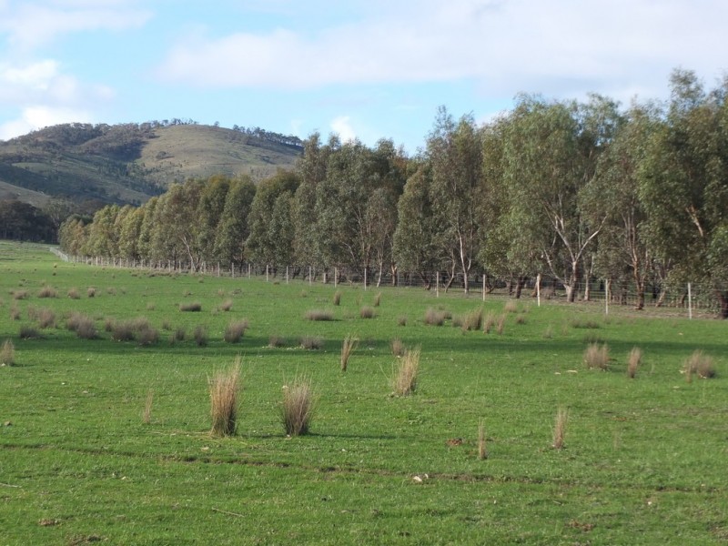 4931 Stawell-Avoca Road, Frenchmans VIC 3384