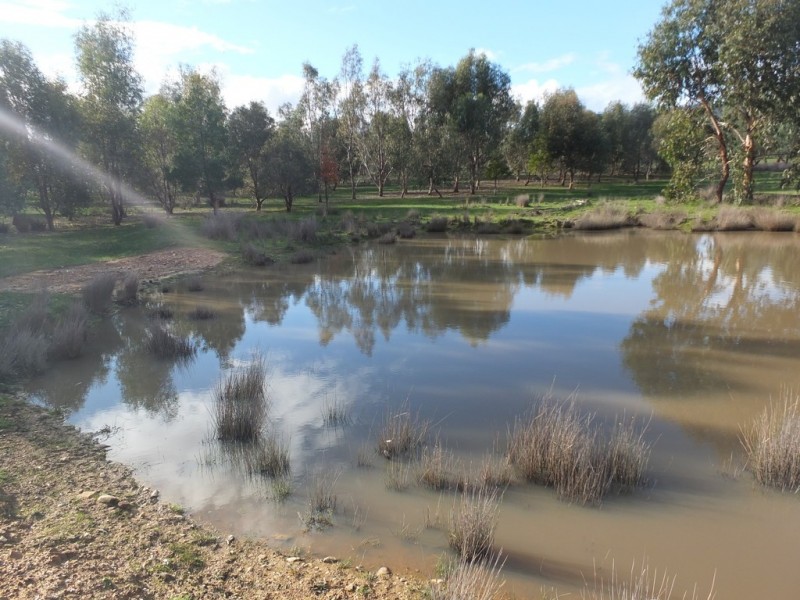 4931 Stawell-Avoca Road, Frenchmans VIC 3384