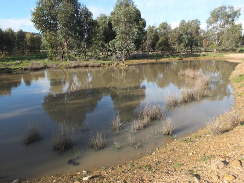 4931 Stawell-Avoca Road, Frenchmans VIC 3384