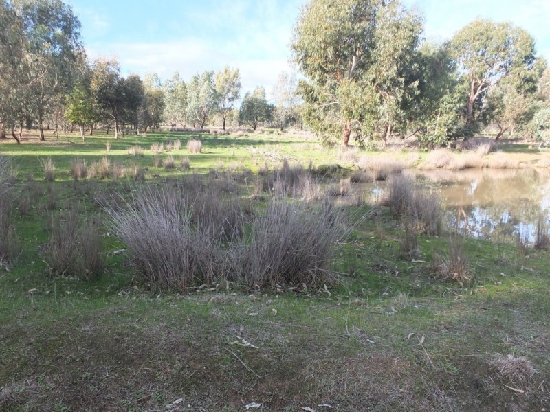 4931 Stawell-Avoca Road, Frenchmans VIC 3384