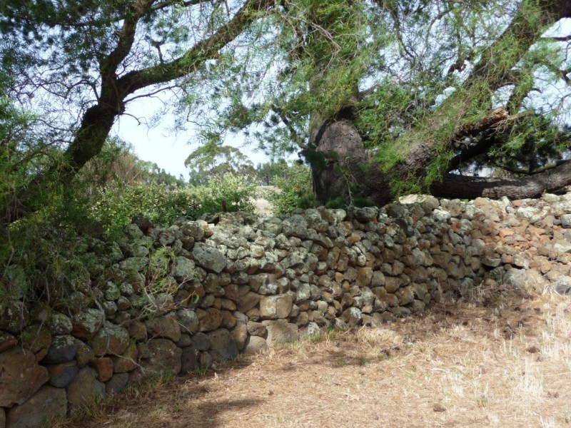 6885 Midland Highway, Scotsburn VIC 3352