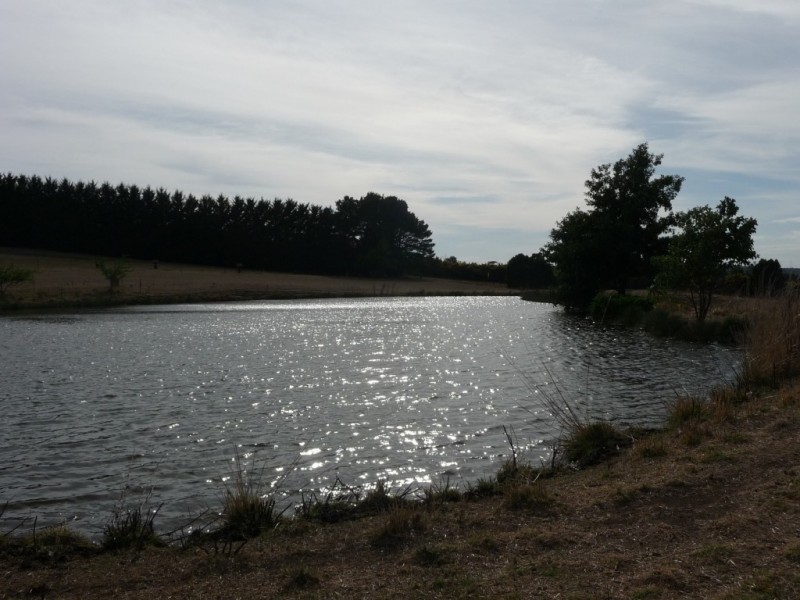 6885 Midland Highway, Scotsburn VIC 3352