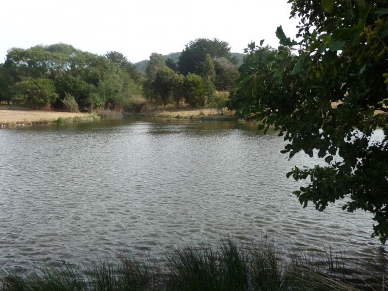 6885 Midland Highway, Scotsburn VIC 3352