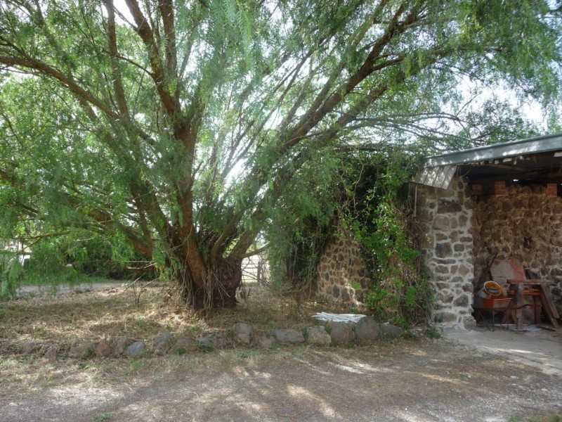 6885 Midland Highway, Scotsburn VIC 3352