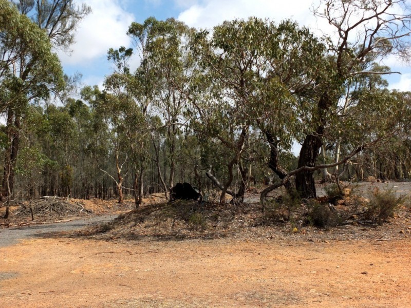 950 Stuart Mill Road, Dunluce VIC 3472