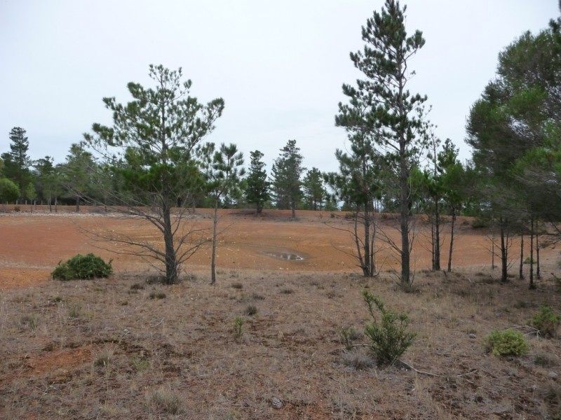 7 Savage Hill Road, Corindhap VIC 3352