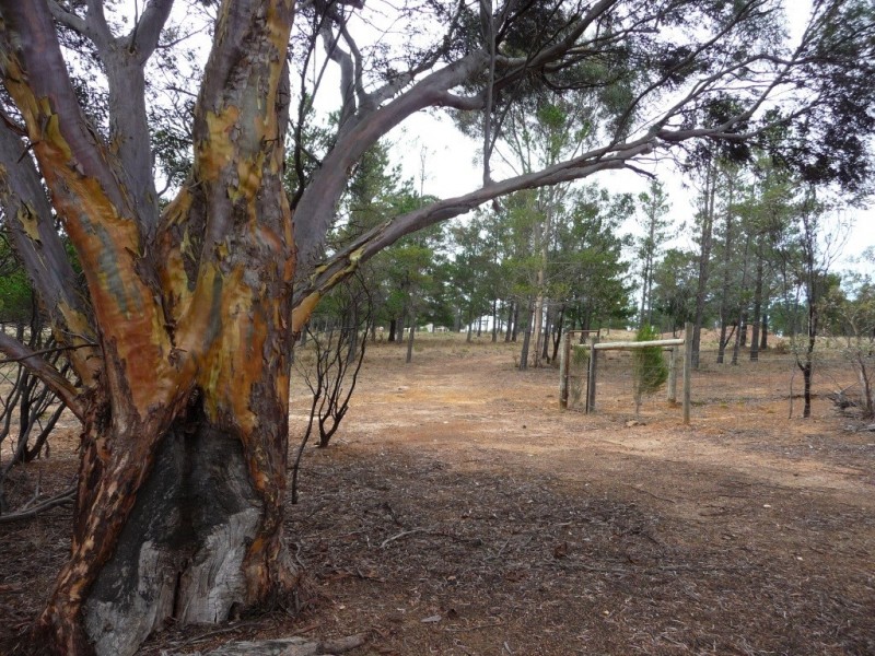 7 Savage Hill Road, Corindhap VIC 3352