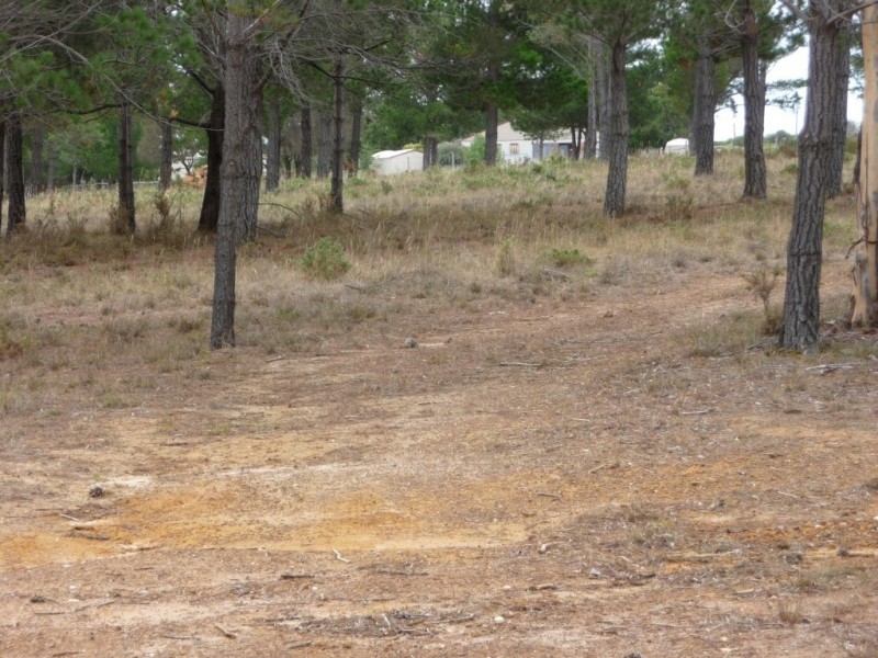 7 Savage Hill Road, Corindhap VIC 3352