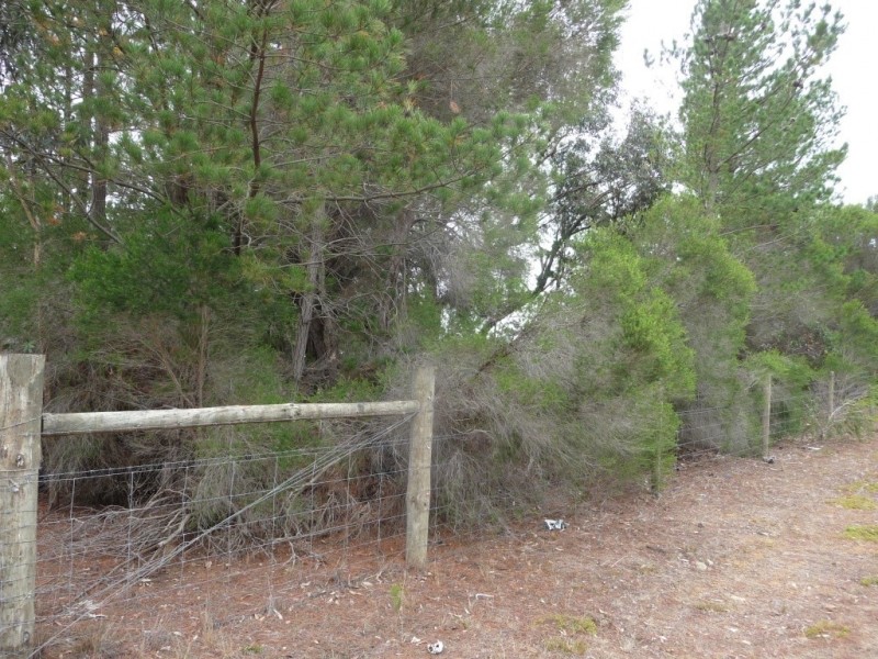 7 Savage Hill Road, Corindhap VIC 3352