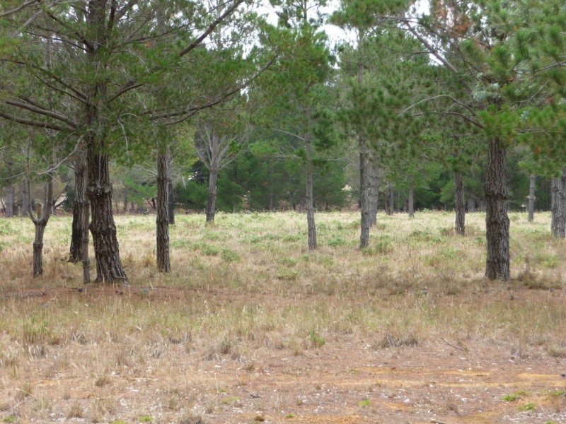 7 Savage Hill Road, Corindhap VIC 3352