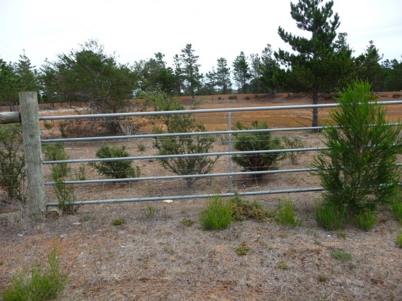 7 Savage Hill Road, Corindhap VIC 3352