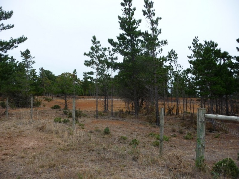 7 Savage Hill Road, Corindhap VIC 3352