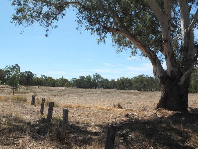 2278 Amphitheatre Road, Amphitheatre VIC 3468