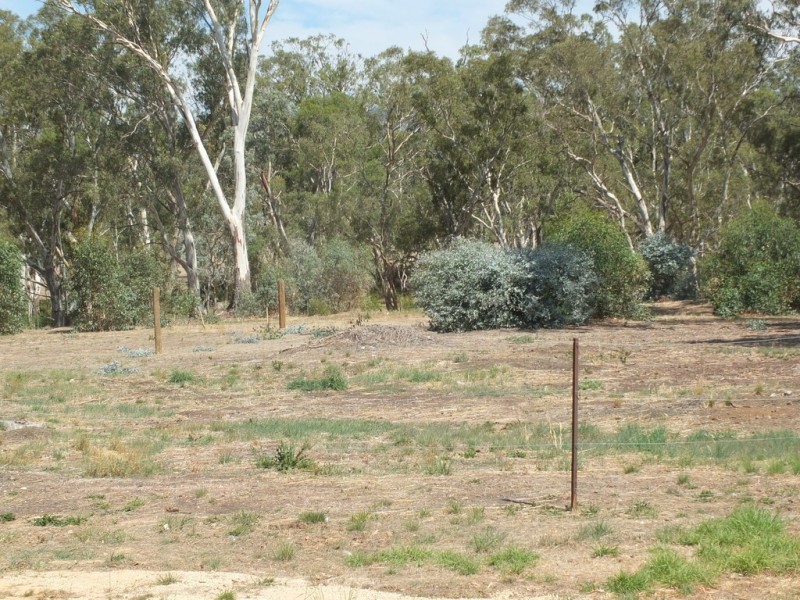 45 High Street, Avoca VIC 3467