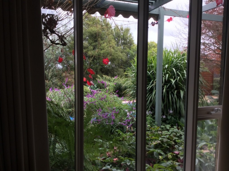 64 Eucalyptus Drive, Invermay VIC 3352