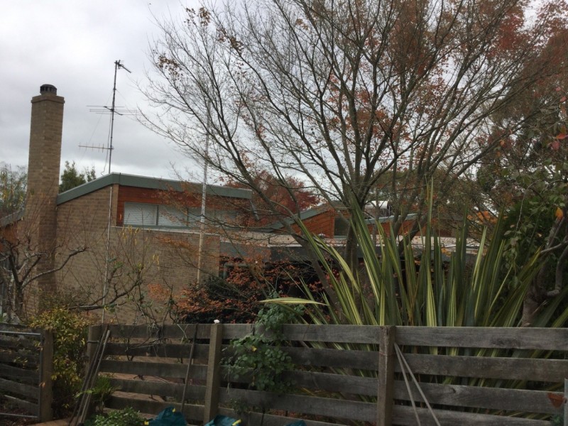 64 Eucalyptus Drive, Invermay VIC 3352