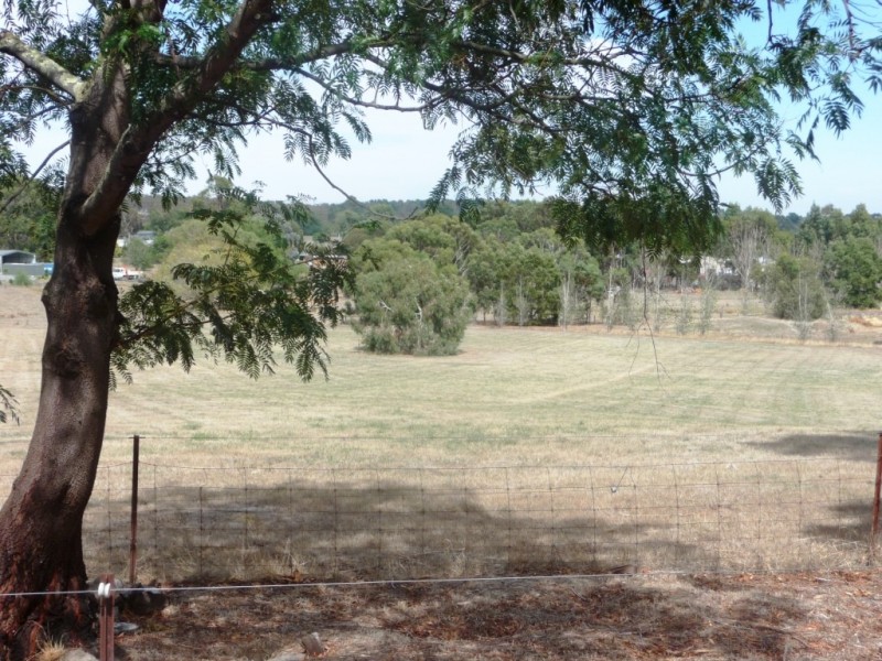 64 Eucalyptus Drive, Invermay VIC 3352