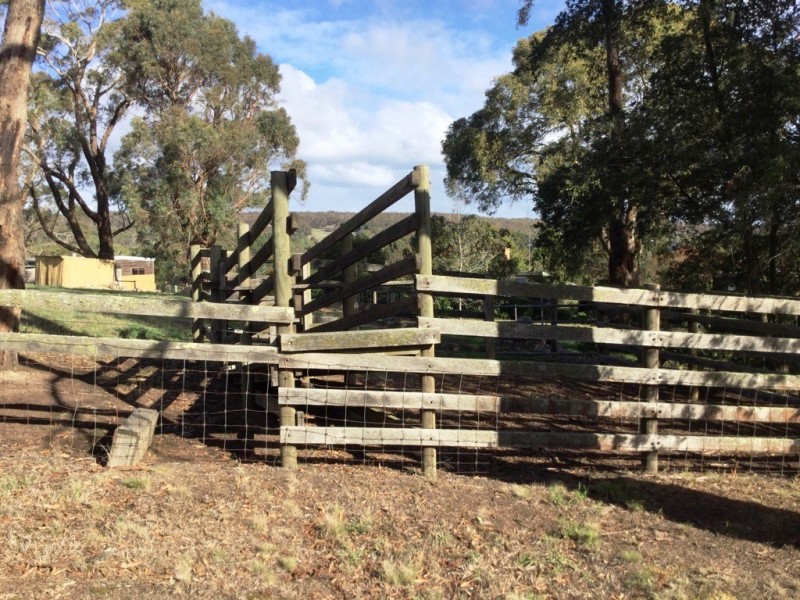 64 Eucalyptus Drive, Invermay VIC 3352