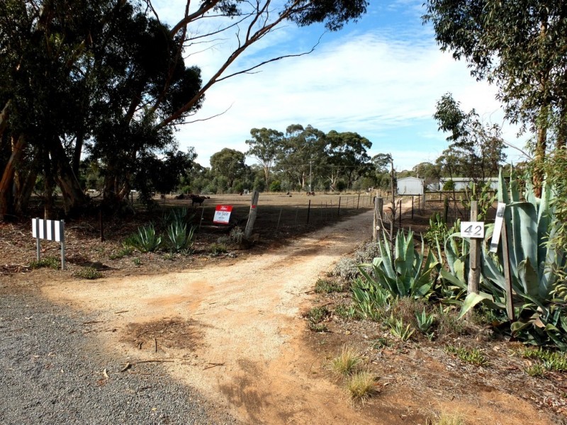 42 Rowe Street, Avoca VIC 3467