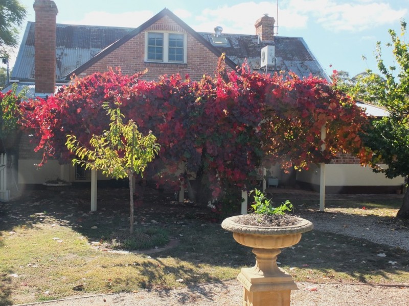 3889 Sunraysia Highway, Stuart Mill VIC 3477