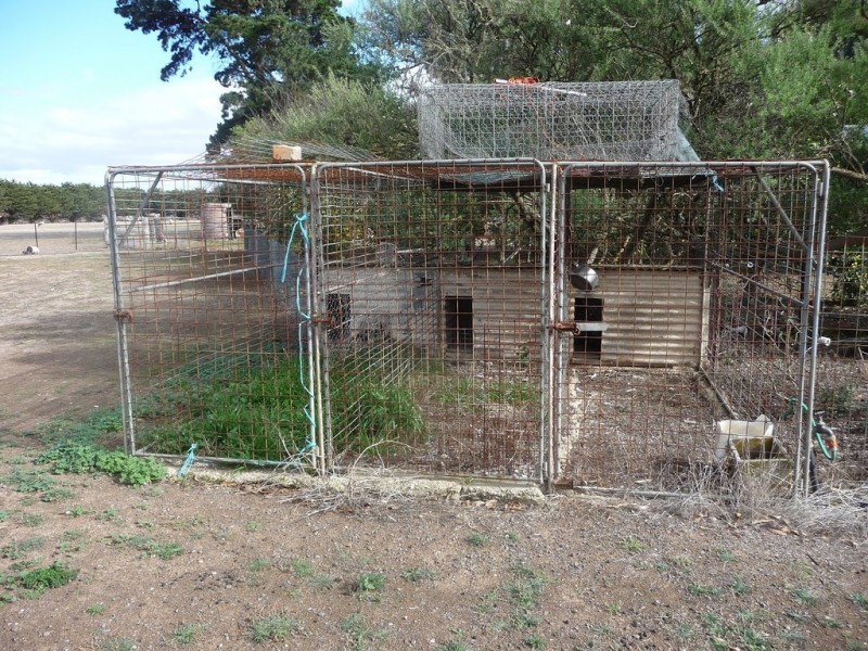 3583 Darlington Road, Carranballac VIC 3361