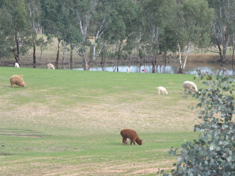 162 Stewarts Road, Barkly VIC 3384