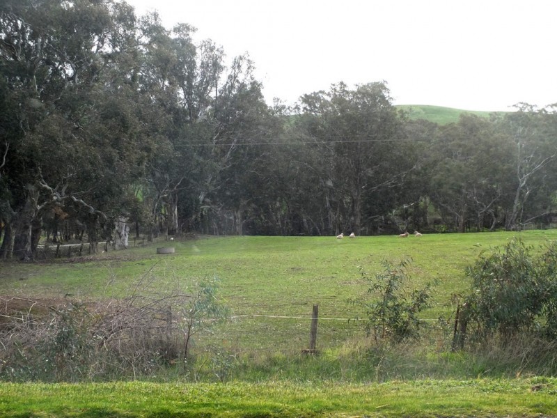 Lots 6 and 7 Bailey Street, Amphitheatre VIC 3468