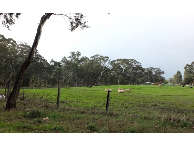 Lots 6 and 7 Bailey Street, Amphitheatre VIC 3468