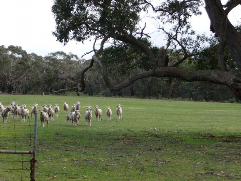 128 Ferrers Road, Dereel VIC 3352